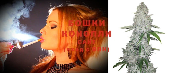 молекула духа Мегион