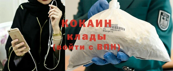 молекула духа Мегион