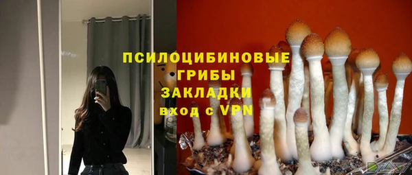 таблы Чердынь
