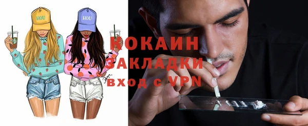молекула духа Мегион