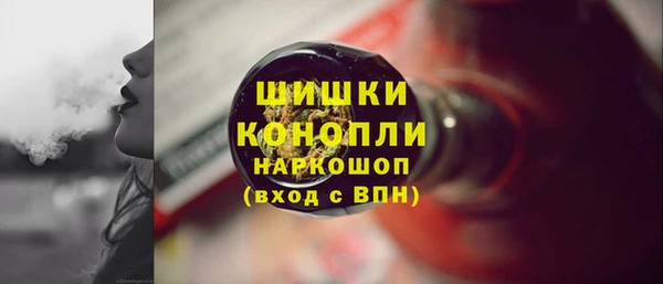 молекула духа Мегион