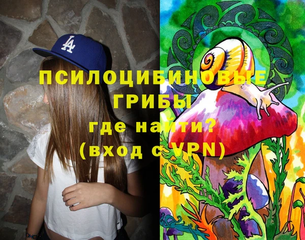 твердый Медвежьегорск
