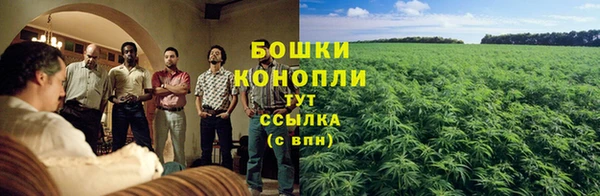 стафф Вязники