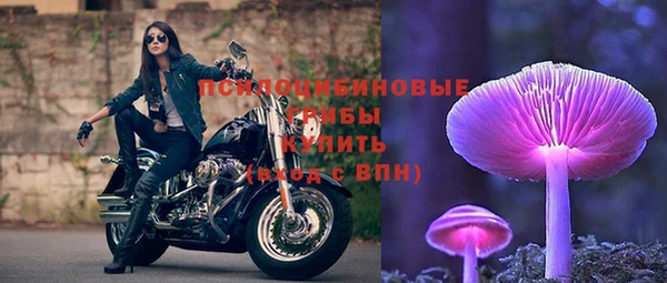 твердый Медвежьегорск