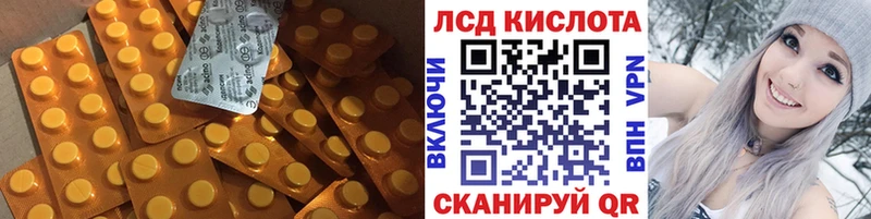 купить наркоту  Бологое  LSD-25 экстази ecstasy 