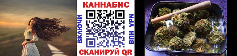 Конопля гибрид  Бологое 